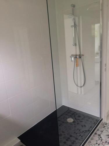 une douche avec une porte vitrée dans une salle de bain dans l'établissement Appartement vacances cannes, à Cannes