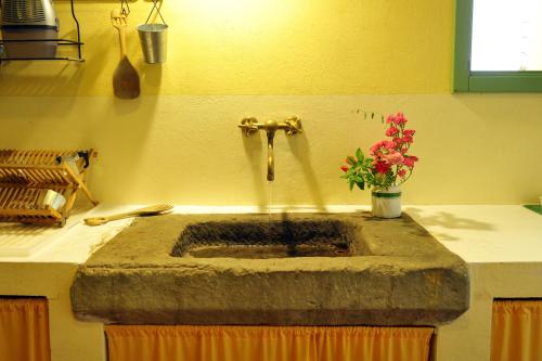 ein Steinwaschbecken in einer Küche mit Blumen darin in der Unterkunft La Colonica in Londa