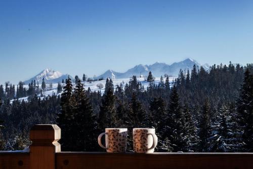 Γενική θέα στο βουνό ή θέα στο βουνό από  αυτό το σαλέ