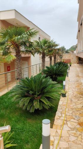 a courtyard with palm trees and a building at Your Home Montenegro in Dobra Voda