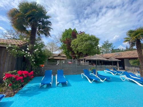 a pool with blue chairs and palm trees and a house at La Cabane d'Arès - chambre double PREMIUM in Arès