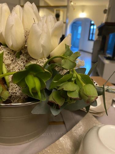 a group of white flowers sitting on a counter at L'Albero della Vita in Viterbo