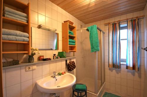 a bathroom with a sink and a shower at Landhof Fischer in Geiersthal