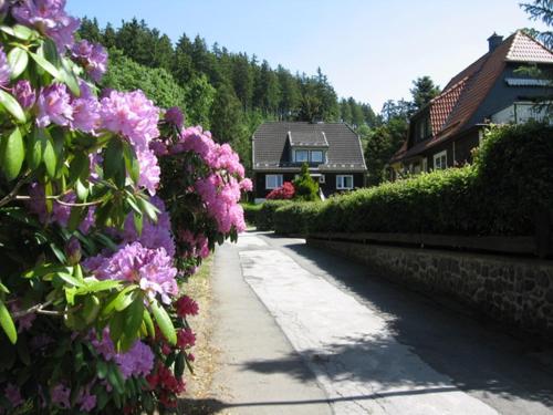 a street with pink flowers in front of a house at Vakantiehuis ibu in Altenau