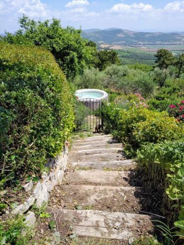 a walkway leading to a pool in a garden at Villa La Moraiola in Passignano sul Trasimeno