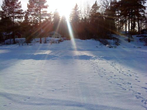 a snow covered field with footprints in the snow at Sjöställe Gudö in Vendelsö