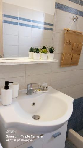 Gallery image of Sunny Studios Naxos in Aliko Beach