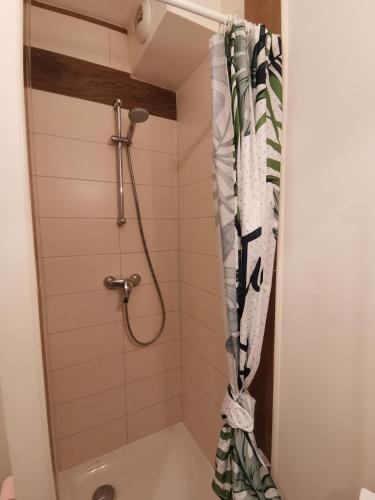 La salle de bains est pourvue d'une douche avec rideau de douche. dans l'établissement Jungle studio Gex - Ski - Netflix, à Gex