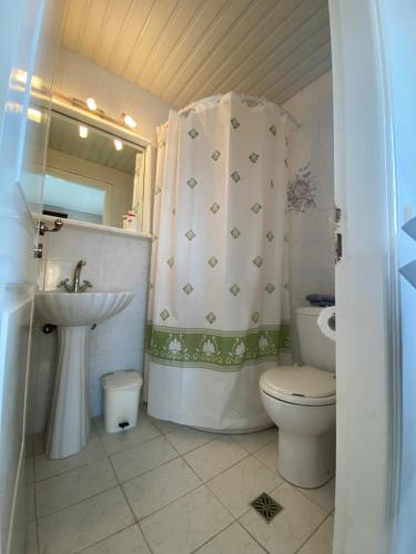 a bathroom with a toilet and a sink and a shower at Theros Villa in Plános