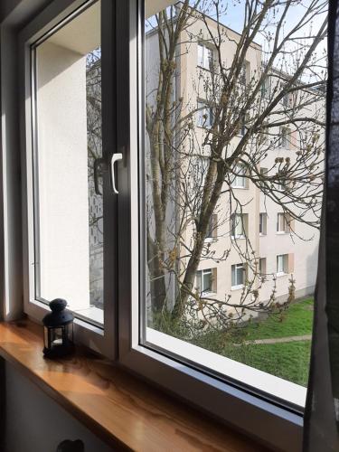 Zdjęcie z galerii obiektu Old Town Apartment w mieście Malbork