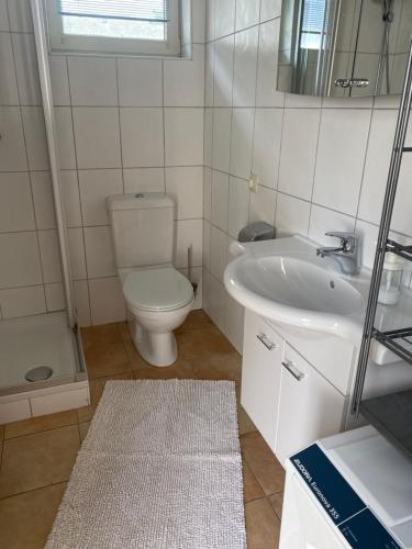 ein Badezimmer mit einem WC, einem Waschbecken und einem Spiegel in der Unterkunft V Gemütliches Gartenhaus in Smihel nad Pliberkom