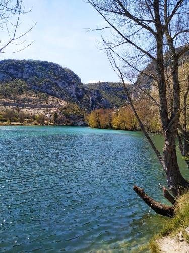 a body of water with a tree in the foreground at GITE AU COEUR DES GORGES DU VERDON in Quinson
