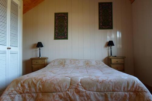 een slaapkamer met een bed, 2 dressoires en 2 ramen bij Apart Hotel Curahue in Junín de los Andes
