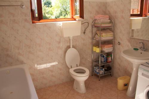 a bathroom with a toilet and a sink at Apartments Morski Vuk in Tivat