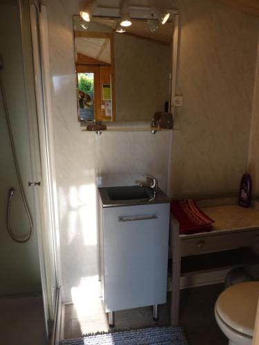 a small bathroom with a sink and a mirror at L'arum antique in Sainte-Catherine-de-Fierbois