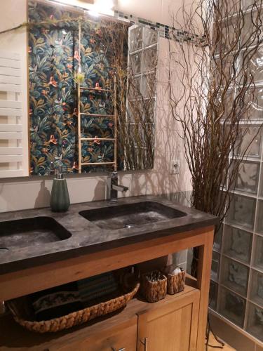 une salle de bain avec un lavabo et un miroir dans l'établissement La Belle Amarre-Bed and Breakfast-Maison d'Hôtes, à La Rochelle