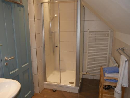 a bathroom with a shower and a sink at Lindenhof, Wohnung 1, Giebel in Vipperow
