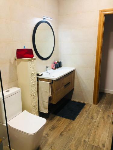 a bathroom with a toilet and a sink and a mirror at ROSALES Apartamento y jardín in Oviedo