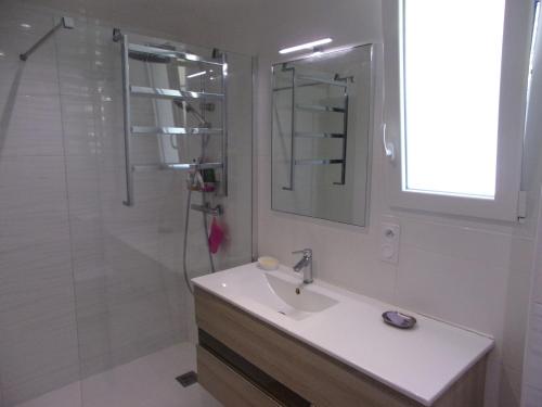 La salle de bains blanche est pourvue d'un lavabo et d'une douche. dans l'établissement agapanthe, à Crozon
