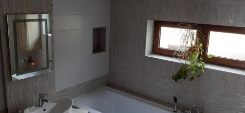 a bathroom with a sink and a toilet and a window at Pensiunea Moldovan in Praid