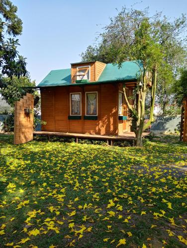 Κήπος έξω από το Mini House Park