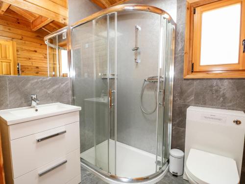 a bathroom with a shower and a toilet and a sink at Bittern Lodge in Tattershall