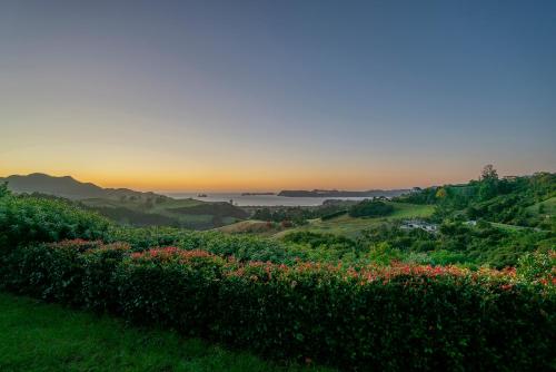a field of flowers with the sunset in the background at Bayview Valley Lodge Bed & Breakfast in Whitianga