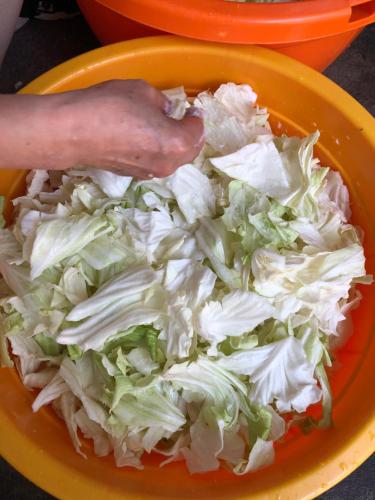 a bowl of lettuce with a persons hand in it at Sun Moon Lake Tan Hsiang Yu B&B in Yuchi