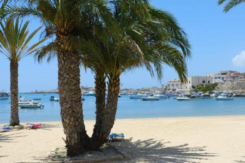 two palm trees on a beach with boats in the water at B&B Una favola di mare in Lampedusa