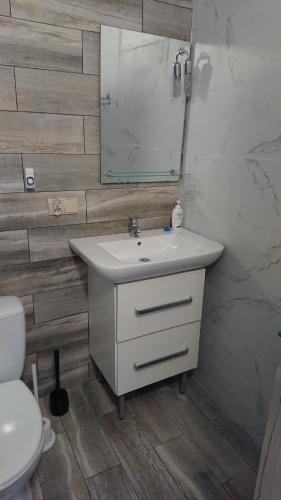 een badkamer met een wastafel, een spiegel en een toilet bij Ostoja Czersk Zamek Góra Kalwaria in Czersk