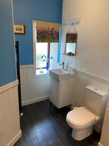 Un baño con inodoro, lavabo y ventana. en Holly Cottage, en Glencoe
