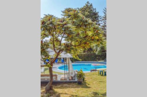 a pool with a tree and a gazebo at Villa Smestaj Dunav in Novi Banovci