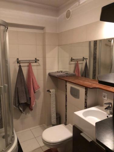 a bathroom with a toilet and a sink at Apartament 117 in Krynica Zdrój