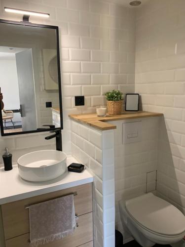 ein Badezimmer mit einem Waschbecken, einem WC und einem Spiegel in der Unterkunft Maison vacances résidence privée Piscine Loupian-Mèze in Loupian