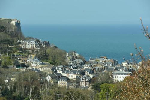 een groep huizen op een heuvel naast de oceaan bij SHERWOOD TREE in Étretat