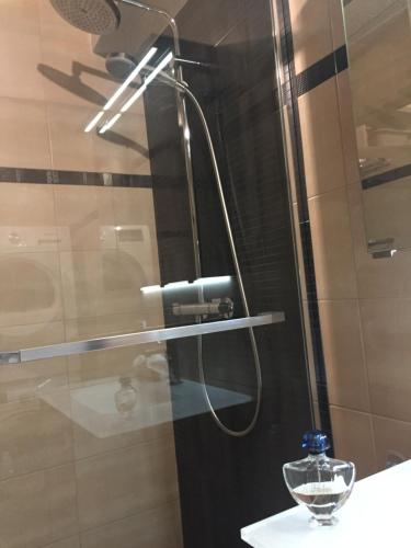 a shower with a shower head in a bathroom at Bel appartement in Strasbourg