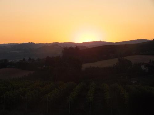 a sunset over a field with the sun setting in the background at Enolocanda Del Tufo in Dogliani
