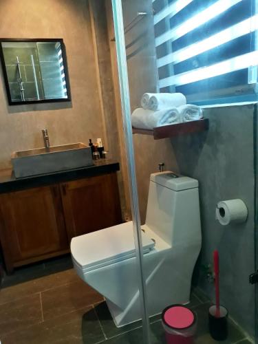 a bathroom with a toilet and a sink at Pink Tulip Hoi An in Hoi An