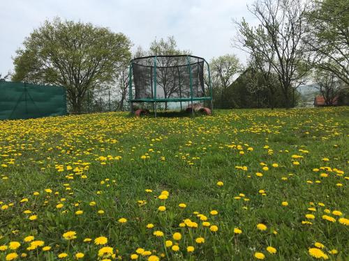 a field of flowers with a cage in the middle at Penzion U Kostela in Kuželov
