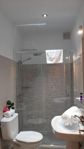 a bathroom with a shower and a toilet and a sink at Hotel Alvaro frente Palacio-Museo Selgas in Cudillero