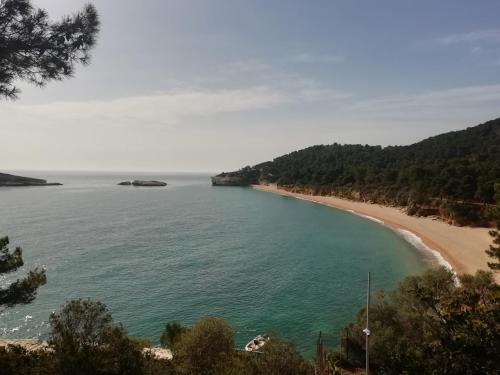 a view of a beach and the ocean at B&B L'Altare Bianco in Vieste