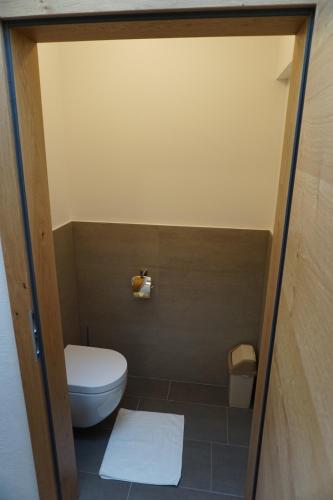 a small bathroom with a toilet in a room at Appartementhaus Hüttenberger in Erpfendorf