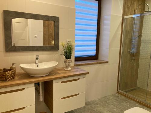 un bagno con lavandino, specchio e doccia di Apartament na Warszawskiej a Gorzów Wielkopolski