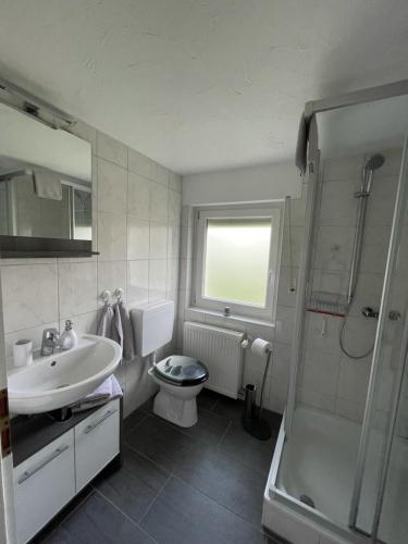a bathroom with a sink and a toilet and a shower at Ferienwohnung Venwegen in Venwegen