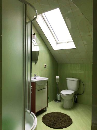 a bathroom with a toilet and a sink and a skylight at "Pokoje u Ireny"-pokój z aneksem in Sztutowo