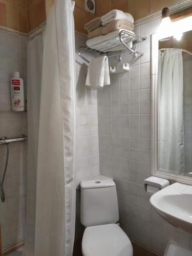 a small bathroom with a toilet and a sink at Apartahotel Montecaoru in Arenas de Cabrales
