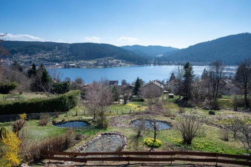 a view of a lake with mountains in the background at Moho Mountain Home in Gérardmer