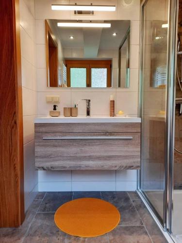 a bathroom with a sink and a shower at Apartment Fischer mit Privatstrand in Steindorf am Ossiacher See