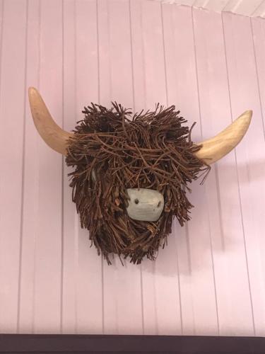 a stuffed animal with horns on a wall at Thistle House Guest House in Saint Catherines