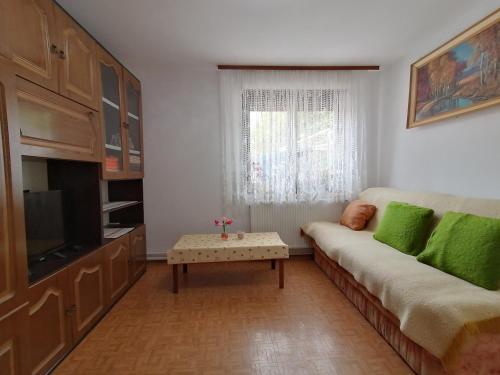 a living room with a couch and a tv at Bela golobica Bogojina in Bogojina